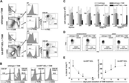 Figure 1. Conditional SCL activation induces the reversible accumulation of small CD8+TCRβlow thymocytes. (A) Thymic flow cytometric analysis of tamoxifen (TAM)–treated (fed for 3 weeks) lck-ERT2-SCL and littermate control mice. (B) Analysis of CD44 expression on CD8+TCRβlow cells. TAM feed for 6 weeks; wild-type, n = 4; lck-ERT2-SCL, n = 4; representative plots are shown; dashed lines represent corresponding isotype control staining. (C) Absolute cell numbers were calculated for total thymocytes and different subsets. Bars represent means plus or minus SD; wild-type no TAM, n = 10; lck-ERT2-SCL no TAM, n = 5; wild-type + TAM, n = 10; lck-ERT2-SCL + TAM, n = 13; TAM feed for 2-6 weeks. (D) CD8+TCRβlow cells were detected in peripheral blood and within spleens of TAM-treated lck-ERT2-SCL mice. Representative plots of at least 3 mice per group are shown; TAM feed for 3 to 4 weeks. The percentage of CD8+TCRβlow cells per total nucleated cells is displayed. (E) After the cessation of TAM treatment, thymic CD8+TCRβlow cells disappeared and thymic cellularity returned back to normal levels. A cohort of mice (n = 13) was injected with TAM (1 mg intraperitoneally daily) for 14 days. Flow cytometric analysis of the thymus was carried out on days 1, 5, 8, and 15 after cessation of TAM administration (at least n = 3 mice per time point). The proportion of CD8+TCRβlow cells per total nucleated thymocytes (left) and the total thymic cellularity (right) was calculated for each time point. Black squares represent mean (± SD). FSC indicates forward scatter; and PI, propidium iodide.