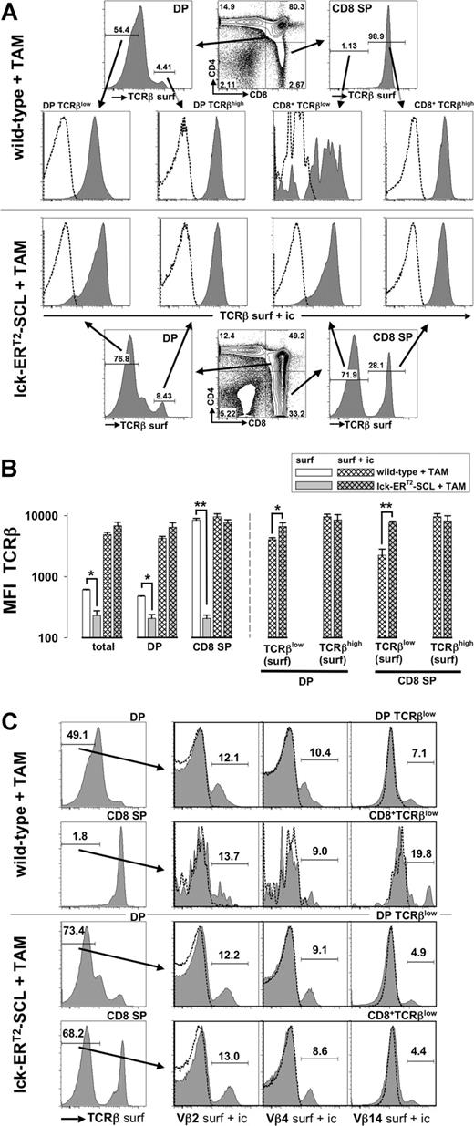 Figure 2. Intracellular retention of the T-cell receptor β chain in CD4+CD8+ double-positive and CD8 single-positive thymocytes of tamoxifen-treated lck-ERT2-SCL transgenic mice. (A) After cell surface staining for CD4, CD8, and TCRβ (anti-TCRβ-FITC, TCRβ surf) thymocytes of tamoxifen (TAM)–treated (7 weeks) lck-ERT2-SCL (n = 3) and wild-type control littermates (n = 3) were permeabilized and subjected to a second staining with anti-TCRβ-PE (TCRβ surf + ic). Anti-TCRβ-PE staining (TCRβ surf + ic) of the permeabilized thymocytes predominantly reflects intracellular staining because surface TCRβ epitopes were already saturated with the TCRβ-FITC antibody (same clone as TCRβ-PE) during the surface staining procedure. Levels of intracellular TCRβ expression (TCRβ surf + ic) were determined within surface DP (double-positive; CD4+CD8+) TCRβlow, DP TCRβhigh, CD8+TCRβlow, and CD8+TCRβhigh populations. Representative plots are shown. Dashed lines represent corresponding isotype control data. (B) Quantification (median fluorescent intensity, MFI) of TCRβ surface (surf) and TCRβ intracellular (surf + ic) expression. Bars represent means plus or minus SD; *P < .05; **P < .001. (C) Surface DP TCRβhigh CD8+TCRβlow cells were analyzed for the presence of intracellular (surf + ic) variable β chains 2, 4, and 14 (Vβ2, Vβ4, and Vβ14). TAM-treated (13 weeks) lck-ERT2-SCL (n = 3) and wild-type control littermates (n = 4) were analyzed. Representative plots are shown.