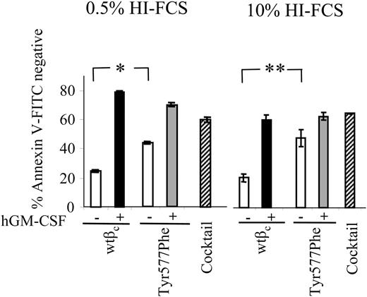 Figure 2. Mutation of Tyr 577 in βc enhances GM-CSF–responsive survival. FL cells transduced with α chain and wtβc or Tyr577Pheβc were washed and plated at 1.5 × 105/mL in IMDM containing either 0.5% HI-FCS or 10% HI-FCS. Groups contained either no added factor (□), 50 ng/mL hGM-CSF (■), or a prosurvival cytokine cocktail containing IL-6 (50 ng/mL), SCF (100 ng/mL), and G-CSF (10 ng/mL) (▧). After 48 hours, cells were stained with the 4H1 anti-GMRα monoclonal antibody followed by an anti-mouse IgG-PE antibody, and with annexin V–FLUOS. Viability analysis was performed by flow cytometry as described in “Materials and methods.” The average of duplicate samples (± SD) is indicated. *P < .001; **P = .001. This experiment is representative of 3 performed.
