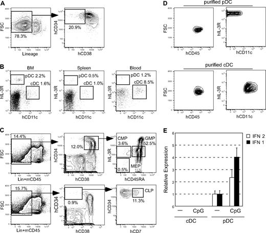 Figure 1. Human cord blood Lin−hCD34+hCD38− HSCs give rise to DC subsets as well as other progenitors. (A) Purification of Lin−hCD34+hCD38− HSCs from the CD34+ cell–enriched cord blood. (B) cDC and pDC progeny in the bone marrow, spleen, and peripheral blood of NOD-scid/IL2rγnull recipients of human cord blood HSCs. (C) Human HSCs gave rise to myeloid and lymphoid progenitors in the recipients' bone marrow, recapitulating normal human hematopoietic development. (D) The phenotype of purified HSC-derived cDCs and pDCs by FACS. (E) Changes in quantity of IFN mRNA in purified cDCs and pDCs before and after CpG stimulation. Representative data of 2 independent experiments are shown. FSC indicates forward scatter; and BM, bone marrow. Error bars represent the SEM of triplicate cultures.