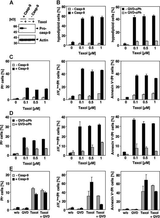 Figure 4. Paclitaxel-induced apoptosis depends on caspase-9. (A) Effects of paclitaxel on caspase-9–deficient Jurkat cells. Lysates of caspase-9–deficient and caspase-9–reconstituted cells treated for 48 hours with 1 μM paclitaxel or left untreated were subjected to immunoblot analysis using caspase-9 and β-actin antibodies. Caspase-9 was cleaved in proficient cells upon stimulation with paclitaxel as indicated by the decrease of its proform. (B) Caspase-9–deficient and – reconstituted Jurkat cells were treated with increasing concentrations of paclitaxel for 48 hours or were left untreated. Analysis of hypodiploid nuclei (left panel) demonstrates that caspase-9–proficient but not caspase-9–deficient cells undergo apoptosis in response to paclitaxel. Treatment of caspase-9–reconstituted Jurkat cells with the pancaspase inhibitor QVD-oPh (20 μM) revealed that paclitaxel-induced DNA degradation is caspase dependent (right panel). (C,D) Caspase-9–deficient and – reconstituted Jurkat cells were treated as described in panel B. Dead cells were measured by cellular uptake of the nonvital dye PI (left panels). Mitochondrial membrane depolarization (middle panels), PS exposure (right panels), and cell death were observed only in caspase-9–proficient cells (C). Consistently, these effects can be blocked by the caspase inhibitor QVD-oPh (D). (E) Upon long-term treatment with paclitaxel, caspase-9–deficient cells also succumb to a caspase-independent cell death. Cells were treated for 4 days with 1 μM paclitaxel in the presence or absence of QVD-oPh and analyzed as described. Results in panels B-E show the mean values (± SD).
