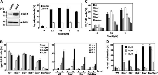 Figure 7. Involvement of Bcl-2 family proteins in paclitaxel-induced cell death. (A) Bcl-2 protects cells against the apoptosis-inducing effects of paclitaxel. Left panel shows immunoblot analysis of the status of Bcl-2 expression in Jurkat cells that were either stably transfected with Bcl-2 or the corresponding vector control. Right panel shows that Bcl-2–overexpressing cells and the corresponding vector control cells were subjected to increasing concentrations of paclitaxel for 48 hours as indicated. Flow cytometric analysis of hypodiploid cell nuclei revealed a strong protective effect of Bcl-2 against up to 10 μM paclitaxel. Results show the mean values (± SD). (B) Single knock-out of Bax or Bim confers partial resistance, while the double knock-out of Bax and Bak completely inhibits paclitaxel-induced apoptosis. MEFs derived from Bim, Bid, Bak, and Bax single knock-out as well as from Bak/Bax double knock-out mice were incubated with increasing concentrations of paclitaxel for 48 hours. Results from subsequent flow cytometric analysis of hypodiploid cell nuclei are depicted as a bar diagram of mean values (± SD; left panel). The right panel shows a time course analysis of apoptosis in Bax and Bak single and double knock-out MEFs that were treated for the indicated times with 1 μM paclitaxel. (C) Mitochondrial depolarization in response to paclitaxel is blocked in Bak/Bax double knock-out cells, and decreased in Bax or Bim single knock-out cells. MEFs were treated for 24 hours with the indicated concentrations of paclitaxel, stained with DiOC6/PI, and analyzed by flow cytometry. Results are presented as mean values (± SD). (D) Clonogenicity assays of wild-type and knock-out MEFs were performed as described in Figure 6A. After 7 days in normal medium, proliferation of paclitaxel-treated cells was measured by crystal violet staining and calculated as the mean (± SD) relative to the untreated controls.