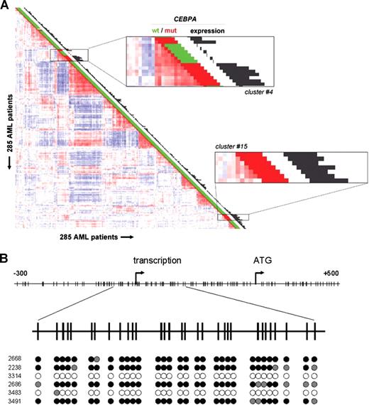 Figure 1. CEBPA silencing and promoter hypermethylation are associated with AMLs sharing a CEBPA mutant gene expression signature in GEP cluster no. 4. (A) Pairwise correlations between gene expression profiles of 285 AML samples calculated on the basis of 2856 probe sets are displayed as described.4 Colors of boxes visualize Pearson correlation coefficient: deeper red indicates higher positive correlation; deeper blue indicates higher negative correlation. Sixteen distinct clusters were previously distinguished, which can be recognized by the red blocks showing high correlation along the diagonal.4 Cluster no. 4 and cluster no. 15, associated with CEBPA mutations, are enlarged. The bar and histogram next to each patient represent CEBPA mutation status and CEBPA expression level, respectively. CEBPA mutation status: presence (“mut,” red) or absence (“wt,” green) of mutations in bZIP region and/or N-terminus. These data indicate that in leukemias in cluster no. 4 lacking mutations, CEBPA expression is low or absent. In cluster no. 4, the order of samples, from top to bottom, is as follows: no. 3327, no. 2242 (both CEBPA mutant); no. 2668, no. 2238, no. 3314, no. 2686, no. 3483, no. 3491 (all 6 without CEBPA mutation); no. 2218, no. 1316, no. 2273, no. 2545, no. 2169, no. 2753, and no. 2192 (all 7 CEBPA mutant). (B, upper part) Schematic representation of the chromosomal region surrounding the transcriptional start of the CEBPA gene. Numbers indicate position relative to CEBPA transcriptional start. Vertical lines represent CpG dinucleotides; “transcription” indicates transcriptional start; “ATG,” translational start site. (Lower part) Level of cytosine methylation in the region surrounding the CEBPA transcriptional start site of the 6 AML cases in cluster no. 4 with low CEBPA expression, with patient numbers on the left. Every cytosine in a CpG dinucleotide is depicted as a circle. For each of these cytosines, the fraction of methylated residues was determined, which is visualized by the color of the circle: methylated (> 75% of all cytosines methylated, black), partly methylated (25%-75% methylated, gray), unmethylated (< 25% methylated, white).