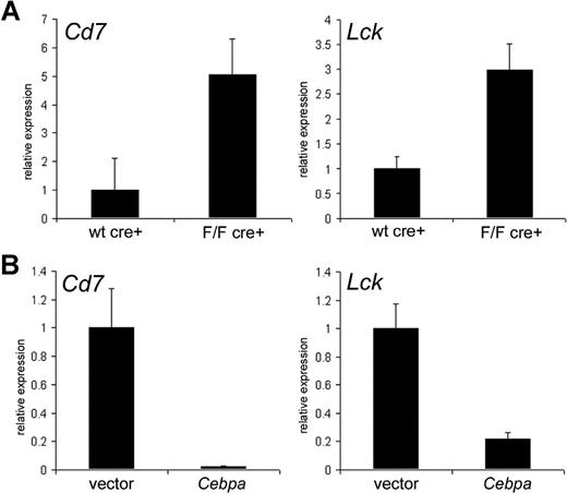 Figure 3. Absence of Cebpa in murine HSCs up-regulates Cd7 and Lck. (A) Lin−c-Kit+Sca1+ hematopoietic stem cells (HSCs) were isolated and purified from poly I:C–treated Cebpawt/wt Mx1-Cre mice (wt cre+) and CebpaF/F Mx1-Cre knockout mice (F/F cre+). mRNA expression levels of Cd7 and Lck were determined by RQ-PCR. Data are presented relative to expression of wt cre+ animals as mean plus standard deviation of at least 3 individual mice in both groups. (B) Purified HSCs from poly I:C–treated CebpaF/F Mx1-Cre mice were transduced with either empty vector (vector) or Cebpa expression construct (Cebpa). Cd7 and Lck mRNA expression levels were determined in GFP+ infected cells 1 day after transduction. Data are presented relative to expression of empty vector–transduced cells as mean plus standard deviation of 4 reactions.