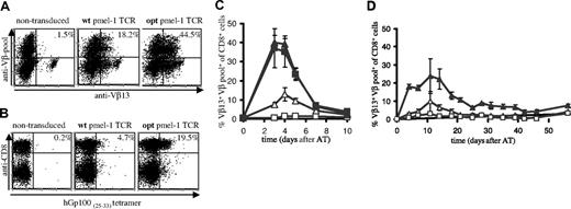 Figure 1. In vivo antigen expansion of wild-type and gene-optimized TCR-transduced murine splenocytes. Activated B6 splenocytes were transduced with vectors encoding wild-type or gene-optimized pmel-1 TCR. (A) TCR expression was determined by flow cytometry using anti-CD8α, anti-Vβ13, and a pool of anti-Vβ2, anti-Vβ3, anti-Vβ4, anti-Vβ5, anti-Vβ6, anti-Vβ8, anti-Vβ10, and anti-Vβ11. All fluorescence-activated cell sorting (FACS) plots show events that are gated for CD8 expression. The numbers indicate the percentage of CD8+ T cells with detectable pmel-1 TCR expression, calculated as follows: %Vβ13+Vβpool+ cells/%Vβpool+ cells × 100%. (B) Detection of TCR expression using anti-CD8 antibodies and Db-hGp10025-33 tetramer. The numbers indicate the percentage of tetramer+ CD8+ cells. (C,D) B6 recipients received splenocytes containing either 1 × 106 pmel-1 TCR transgenic CD8+ cells (■, only in panel C), 1.5 × 106 wild-type TCR-transduced CD8+ cells (▵), or 1.5 × 106 optimized TCR-transduced CD8+ cells (▴). Control mice received 20 × 106 activated, nontransduced cells (□). Mice received an intraperitoneal injection of 1 × 107 pfu rVV-hGp100(25-33) virus at the day of adoptive transfer (C), or mice received a sublethal dose of total body irradiation one day before adoptive transfer (D). At the indicated time points, peripheral blood was collected and analyzed by flow cytometry using APC anti-CD8α, FITC anti-Vβ13, and PE anti-Vβpool. The percentage of Vβ13+Vβpool+ CD8+ cells of total Vβpool+ CD8+ cells is plotted. For mice that received pmel-1 TCR transgenic cells, the percentage of Vβ13+ CD8+ cells is plotted. Error bars represent standard deviations (n = 4).