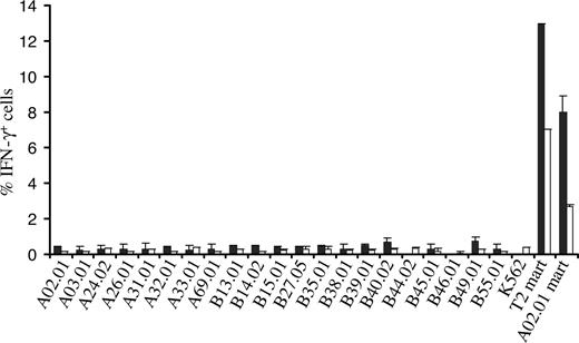 Figure 6. Assessment of alloreactivity of TCR-transduced PBMCs against single MHC allele–expressing cells. 1D3 TCR–transduced cells were incubated with 21 single MHC allele-expressing cell lines for a period of 5 hours. T2 cells and A02.01 K562 cells loaded with the Mart-1(26-35) peptide were used as a positive control. After incubation, cells were stained with anti-CD8 and PE CD4, and intracellular cytokine production was determined using anti-IFN-γ. The percentage of IFN-γ+ CD8+ cells (■) and CD4+ cells (□) is depicted. Bars represent range (n = 2).