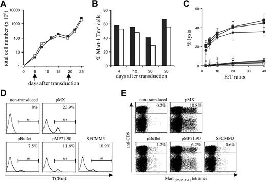 Figure 7. Long-term in vitro culture and vector comparison. (A) PBMCs transduced with the 1D3 TCR (■) and nontransduced (□) PBMCs were restimulated every 14 days (indicated by arrows) by addition of irradiated feeder cells and phytohemagglutinin. At the time points indicated, total cell numbers were determined. (B) TCR expression in 1D3-transduced cells was determined by staining with anti-CD8, anti-CD4, and A2.1-Mart-1(26-35, 27 A>L) tetramer. The numbers indicate the percentage of tetramer+ CD8+ (■) and tetramer+ CD4+ (□) cells. (C) Four weeks after transduction, cytolytic activity of 1D3 TCR–transduced cells against different HLA-A2.1+, Mart+ cell lines—AKR (●), GDO (■), and 526 (♦)—was determined. The HLA-A2.1−, Mart+ cell line 938 (▴) was used as a control. Cytolytic activity of nontransduced cells is indicated by open symbols: AKR (○), GDO (□), 526 (◇), and 938 (▵). Error bars represent standard deviations (n = 3) (D,E) Transient viral supernatant of the indicated vectors all encoding the 1D3 TCR was used to transduce Jurkat/MA cells (D) or PBMCs (E). Four days after transduction, TCR expression in Jurkat/MA cells was determined by staining with anti-TCRαβ. Expression in PBMCs was determined by staining with anti-CD8 and A2.1-Mart-1(26-35,27 A>L) tetramer. The numbers indicate the percentage of tetramer+ CD8+ cells.