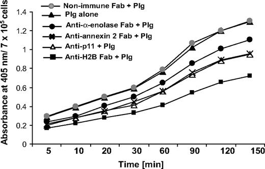 Figure 4. Role of H2B in Plg activation. RAW 264.7 cells were dissociated and washed. The cells were either pretreated with anti-H2B, anti–α-enolase, anti–annexin 2, anti-p11, or nonimmune rabbit Fab or left untreated, and then 200 nM Plg was added. After 1 hour, uPA (3 nM) was added with the chromogenic substrate S-2251, and plasmin generation was measured at 405 nm over 2.5 hours.