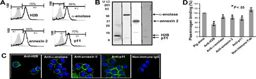 Figure 6. Expression patterns of Plg-Rs on TG-recruited peritoneal macrophages. (A) FACS. Thioglycollate-induced mouse peritoneal cells were incubated with the antibodies to H2B, α-enolase, annexin 2, and p11 (20 μg/mL) for 30 minutes at 4°C and were then stained with FITC-labeled goat anti–rabbit IgG for 30 minutes. Viable macrophages (low scatter, high integrin αMβ2 expression) were analyzed by FACS. Staining with each Plg-R antibody is highlighted with the black line and the light gray area is the reaction with nonimmune rabbit IgG. (B) Cell-surface biotinylation. TG-induced mouse peritoneal macrophages were harvested, subjected to surface biotinylation, captured on streptavidin-agarose, and analyzed by SDS-PAGE, followed by Western blotting with each of the anti–Plg-Rs. (C) Immunofluorescence. Macrophages were reacted for antibodies to each Plg-R or nonimmune rabbit IgG. After washing, the cells were then stained with Alexa 488 antirabbit IgG, fixed in 2% paraformaldehyde, and mounted in mounting medium containing DAPI. Images were captured as in Figure 3. The images shown are representative of numerous areas of the slides. (D) Inhibition of Plg binding to macrophages by Fab to Plg-Rs. Mouse peritoneal macrophages were collected after 72 hours from TG-treated mice. Cells were preincubated with Fab fragments (8 μM) of anti-H2B, anti–α-enolase, anti–annexin 2, anti-p11, or control nonimmune Fab for 30 minutes at 4°C followed by incubation with Alexa 488–labeled Plg (200 nM) at 4°C for 1 hour. The cells were washed and bound Plg was measured by FACS. Specific binding was determined by subtracting the binding values in the presence of EACA. Percentages of specific binding are plotted. Data are means plus or minus SD of 3 independent experiments.