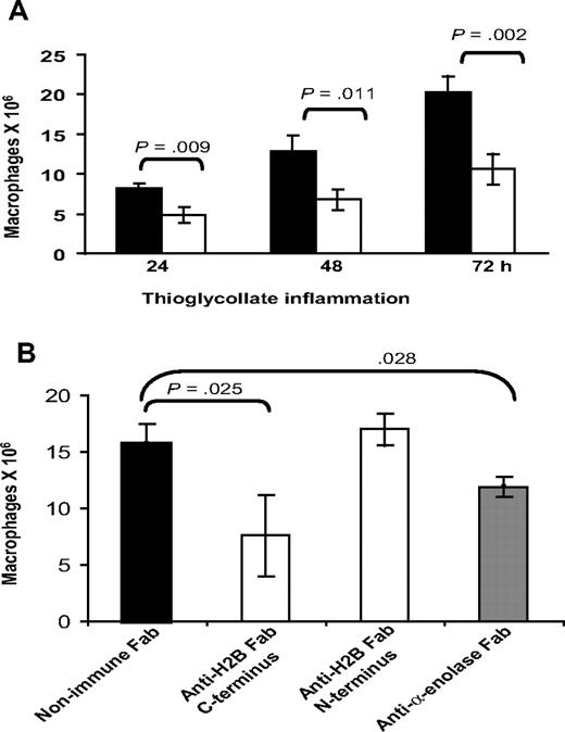 Figure 7. Effect of anti-H2B and antienolase Fab on macrophage recruitment in response to TG. (A) Fab (500 μg in 200 μL PBS) was injected intravenously into C57BL/6 mice 15 minutes prior to intraperitoneal injection of TG. Another dose of each Fab was injected intravenously at 24 hours. Peritoneal lavage was collected into cold sterile HBSS, and the cells were collected by centrifugation, washed with HBSS-HEPES, and lysed in 1% TritonX. The number of macrophages in the lavage was determined using nonspecific esterase activity (n = 3). ■ indicate mice treated with nonimmune Fab; ▧, mice treated with anti-H2B Fab. Significance was calculated by a Student t test. (B) C57BL/6 mice were injected intravenously with Fab to C-terminus and N-terminus H2B, α-enolase, or nonimmune Fab, 15 minutes prior to TG administration. Lavage cells (from 2-mL lavage) were collected at 72 hours and macrophages were quantified as in panel A.