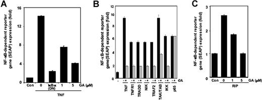 Figure 6. GA inhibits NF-κB activation induced by different molecules in NF-κB signaling pathway. (A) GA inhibited TNF-induced NF-κB–dependent reporter gene (SEAP) expression. A293 cells treated with the indicated concentrations of GA were transiently transfected with a NF-κB–containing plasmid linked to the SEAP gene. After 24 hours in culture with 0.1 nM TNF, cell supernatants were collected and assayed for SEAP activity. Results are expressed as fold activity over the activity of the vector control. (B,C) GA inhibited NF-κB–dependent reporter gene expression induced by TNF, TNFR1, TRADD, NIK, TRAF2, TAK1/TAB1, IKK, p65, and receptor-interacting protein (RIP). A293 cells were transiently transfected with the indicated plasmids along with a NF-κB–containing plasmid linked to the SEAP gene. Bars indicate standard deviation.