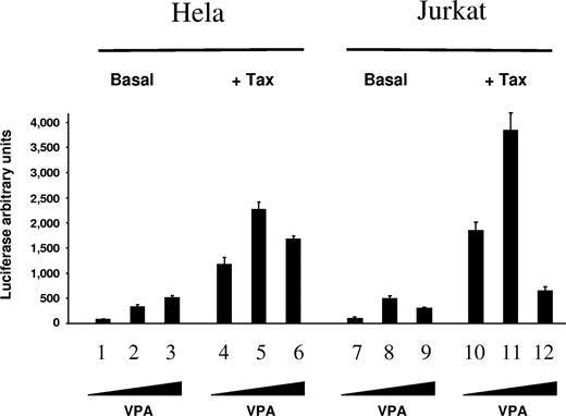 Figure 1. VPA activates luciferase expression directed by the viral LTR promoter. HeLa cells (lanes 1-6) and Jurkat T lymphocytes (lanes 7-12) were transfected with 1 μg pCRLuc reporter, which contains the HTLV-1 long terminal repeat (LTR) cloned upstream of the luciferase gene, in the absence (Basal, lanes 1-3 and 7-9) or in the presence (+ Tax, lanes 4-6 and 10-12) of 10 ng plasmid pCMVTax encoding the viral transactivator protein Tax-1. Transfected cells were cultivated for 18 hours without (lanes 1, 4, 7 and 10) or with (1 mM and 5 mM on lanes 2, 5, 8, and 11 and lanes 3, 6, 9, and 12, respectively) VPA, and luciferase activity was determined. The data (in light arbitrary units ± standard deviation) result from 3 independent experiments.