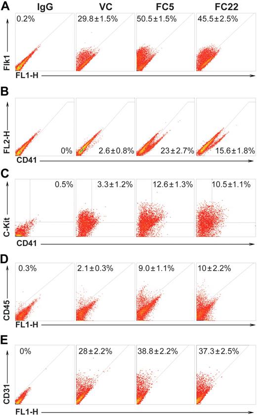 Figure 3. The Lycat transgene increased protein expression of hematopoietic and endothelial cells, as detected by flow cytometry. The Lycat transgenic and vector control ES cell clones were induced into EBs at day 4 to day 6. Expression of Flk1 (A), CD41 (B), CD41 and C-Kit (C), and CD31 (E) was increased in D4 EBs and expression of CD45 (D) was increased in D6 EBs from transgenic ES cells (FC5 and FC22). IgG indicates negative controls of FACS without input of the primary antibody. These quantitative effects were calculated from 3 independent experiments. Numbers within quadrants indicate percentages of positive cells.