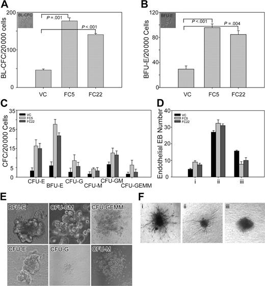 Figure 4. Overexpression of the Lycat transgene increased the formation of BL-CFCs and hematopoietic and endothelial cells by in vitro function assay. (A) D4 EBs from FC5 and FC22 were dissociated and determined to have 3-fold more potency than D4 EBs from VC to generate BL-CFCs in methylcellulose cultures. Top left, morphology of a representative BL-CFC (×100) by 10× objective lens. (B) D6 EBs from FC5 and FC22 were dissociated and determined to have 3-fold more potency than D6 EBs from VC to generate primitive erythroids in methylcellulose cultures in the presence of hEPO. Top left, morphology of 2 representative BFU-E colonies (×100) by 10× objective lens. (C) D9 EBs from VC, FC5, and FC22 were dissociated and assayed for multilineage hematopoietic colony formation. The Lycat transgene in FC5 and FC22 increased the formation of CFU-Es (4-fold), BFU-Es (5-fold), CFU-Gs (2-fold), CFU-Ms (2-fold), CFU-GMs (2-fold) and CFU-GEMMs (2-fold). (D) D11 EBs from FC5 and FC22 had better potential than those from VC to form long endothelial sprouting. (i) The EBs producing much long endothelial sprouting as shown in panel Fi (×100) by 10× objective lens. (ii) The EBs producing only some endothelial sprouting as shown in panel Fii (×40) by 4× objective lens. (iii) The EBs producing no endothelial sprouting as shown in panel Fiii (×100) by 10× objective lens. (E) Representative colonies of BFU-Es (×200), CFU-Es (×200), CFU-GMs (×200) by 20× objective lens, CFU-Gs (×40) by 4× objective lens, CFU-Ms (×100) by 10× objective lens, and CFU-GEMMs (×40) by 4× objective lens. Live images were taken under a Nikon ECLIPSE TE2000-U fluorescence microscope (Nikon, Yokohama, Japan). Images were acquired with a SPOT charge-coupled device camera (Diagnostic Instruments, Sterling Heights, MI), imported with SPOT software version 4.6.4.4, and prepared with Adobe Photoshop 7.0 (Adobe, San Jose, CA). Results are presented as the mean plus or minus the standard error of the mean (SEM). Statistical significance in Figure 4A,B was determined using an unpaired Student t test. P values were calculated from quantitative effects in 3 independent experiments, compared with those of FC5 and FC22 with those of VC, respectively. (A-D) Error bars represent standard deviations.
