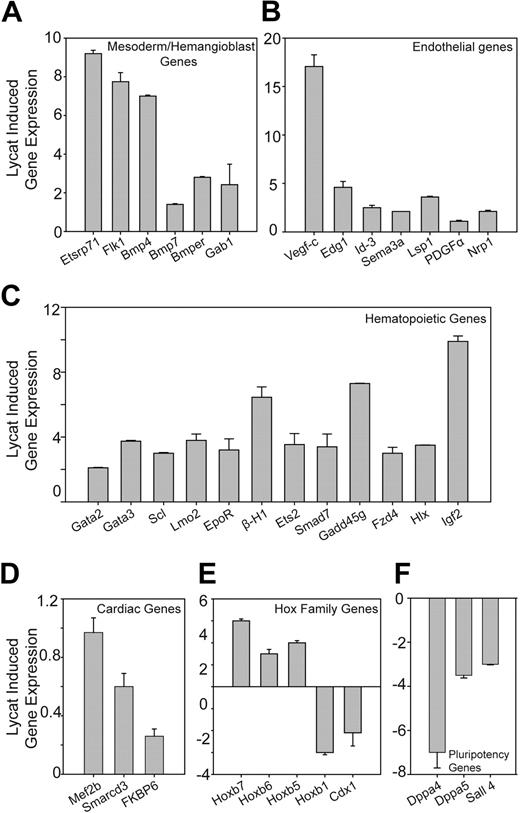 Figure 6. Overexpression of the Lycat transgene specifically increased hematopoietic and endothelial gene expression in EBs using a microarray analysis. We identified differentially expressed genes between VC and FC5 ES cell-derived D4 EBs using SmartArray (CapitalBio, Beijing, China) chips containing about 25 000 mouse genes. The top 200 affected genes were shown to be up- and down-regulated from 2- to 37-fold (averaged from 2 independent experiments) in FC5 EBs, of which 65 genes are related to hemangioblastic, hematopoietic, and endothelial lineages. Thirty-five of these genes and HoxB1 (1.5-fold decrease) were chosen and verified by Q-PCR. These genes were clustered into mesoderm/hemangioblast genes (A), endothelial genes (B), hematopoietic genes (C), cardiac genes (D), Hox family genes (E), and pluripotency genes (F). Q-PCR was carried out using SYBR Green, and RNA levels were normalized by GAPDH. Error bars represent standard deviations