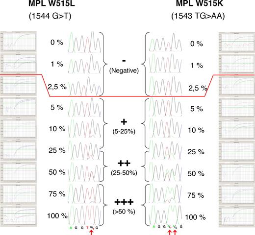 Figure 1. Semiquantitative estimation of the MPL 1544 G>T and MPL 1543 TG>AA/total MPL ratio using sequencing and real-time PCR assay. One hundred percent mutated DNA was mixed in various proportions with 100% normal control DNA. The sequence traces and real-time PCR amplification plots indicating mutated (W515L or W515K) and wild-type MPL amplification plots for each dilution are shown, demonstrating the correlation of the techniques. The sensitivity of the sequencing approach was 5% to 10%, whereas the sensitivity of the real-time PCR assay was approximately 2% to 3% of mutated allele. However, because the purity of the lymphoid cell populations studied in this work was 98%, results lower than 2% of mutated allele were arbitrarily considered as negative because 2% of mutated myeloid cells could contaminate the samples. Semiquantitative results were expressed as shown in the center part of the figure.