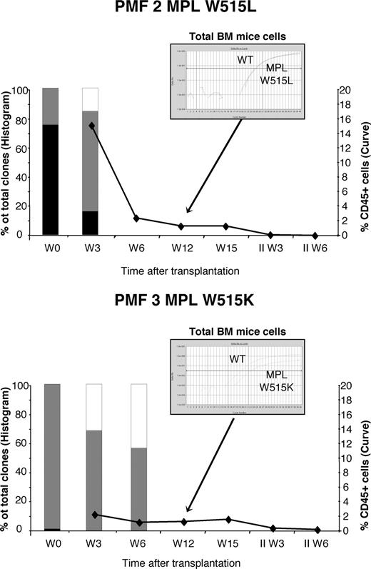 Figure 5. Long-term reconstitution in NOD/SCID mice with CD34+CD38− cells from MPL W515 PMF. Human MPL mutant PMF CD34 cells (5-6.6 × 105) were injected into NOD/SCID mice or harvested in methylcellulose assay to determine the frequency of 100% mutated (■), 50% mutated (), or unmutated (□) human myeloid colonies before or 3 and 6 weeks after transplantation. In parallel, chimerism of human cells was determined using CD45 expression by flow cytometry. Twelve weeks after transplantation, chimerism was too low to perform methyl assay but SNP analysis was performed. Results from 2 different MPL mutant reconstituted mice are shown.