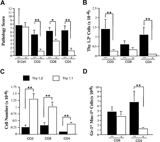 Figure 2. GVHD-associated autoimmunity is due to the absence of appropriate T-cell regulation. Lethally irradiated (900 cGy) B10.BR mice received transplants of TCD B6 BM (10 × 106) plus 2 × 106 B6 spleen cells. Mice were killed 21 days after transplantation, and spleen cells (adjusted to yield a T-cell dose of 106 T cells per animal) were transferred into nonirradiated B6 Rag mice alone (n = 3) or together with 19 × 106 purified B cells (n = 9) from normal B6 animals. In subsequent experiments, lethally irradiated (900 cGy) Balb/c mice received transplants of TCD B6 BM (10 × 106) plus 3-4 × 105 B6 spleen cells. At 20 to 23 days after BMT, mice were killed, and spleen cells (adjusted to yield 0.5-1 × 106 T cells) were transferred alone (n = 8-21 mice/group) or together with an equivalent number of CD4+ plus CD8+ (n = 11), CD8+ (n = 21), or CD4+ T cells (n = 8) from B6.PL (Thy1.1+) animals into nonirradiated B6 Rag animals. Data are presented as means plus or minus SEM. (A) Overall pathology score of mice that received transplants of GVHD spleen cells alone (■) or together with the specified population of purified B or T cells from normal B6 or B6.PL mice (□). (B) Absolute number of Thy 1.2+ T cells in the spleens of mice that received transplants of GVHD spleen cells alone (■) or together with either CD3+, CD8+, or CD4+ T cells from normal B6.PL animals (□). (C) Absolute number of Thy 1.2+ (■) and Thy1.1+ (□) T cells in the spleens of mice that received transplants of GVHD spleen cells and either CD3+, CD8+, or CD4+ T cells from normal B6.PL animals. (D) Absolute number of Gr-1+ Mac-1+ cells in the spleens of mice that received transplants of GVHD spleen cells alone (■) or together with either purified CD8+ or CD4+ T cells (□) from normal B6.PL mice. Statistics: *P < .05; **P < .01.