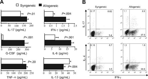Figure 6. Donor-derived TH1 and TH17 cells that mediate autoimmunity emerge during acute GVHD. (A) Lethally irradiated (900 cGy) Balb/c mice received transplants of TCD Balb BM plus 3 × 105 Balb spleen cells (syngeneic) (□) or TCD B6 BM (10 × 106) plus 3 × 105 B6 spleen cells (allogeneic) (■). Mice in both cohorts were bled 21 days after transplantation, and serum was analyzed for presence of IL-17, G-CSF, TNF-α, IL-6, IL-1β, and IFN-γ. Data are presented as the mean plus or minus SEM and are cumulative results from 2 experiments. (B) Lethally irradiated Balb mice were transplanted with TCD BM (10 × 106) plus 3 × 105 B6 spleen cells. At 20 days after transplantation, CD4+ T cells were purified from pooled spleen cell suspensions by magnetic bead separation. Cells were then restimulated with PMA and ionomycin in the presence of GolgiStop and then intracellularly stained with IFN-γ, IL-17, or IL-4–specific antibodies. Dot plots show the percentage of CD4+ T cells that were positive for each of these cytokines.
