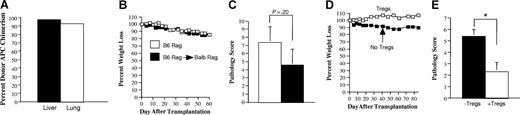 Figure 7. CD4+CD25+Foxp3+ regulatory T cells prevent the propagation of GVHD mediated through the indirect alloreactive pathway. (A) Lethally irradiated Balb Rag mice (900 cGy) (n = 3) received transplants of 5-10 × 106 B6 Rag BM cells. Sixty-eight days after transplantation, animals were killed, and CD11c+ cells were isolated from the liver and lung of recipients as described in “Cell isolation.” The percentage of donor-derived H-2Kb+ CD11c+ dendritic cells in each of these organs is depicted. Data are presented as the mean plus or minus 1 SD and are representative of 3 individual experiments. Actual values are 97.5 (± 0.35) for liver and 92.6 (± 1.1) for lung. (B,C) Lethally irradiated Balb/c mice received transplants of TCD B6 BM (10 × 106) plus 3 × 105 B6 spleen cells. At 20-22 days after transplantation, spleen cells (adjusted to yield a T-cell dose of 0.5 × 106 cells) were transplanted into either B6 Rag (■) (n = 5) or B6 Rag BM→ Balb Rag chimeric mice that were 60 to 70 days after transplantation of B6 Rag BM cells (□) (n = 7). B6 Rag and B6 Rag BM→ Balb Rag mice that received spleen cells from primary GVHD animals were then killed 60 to 62 days after transplantation. Serial weight curves (B) and overall pathological score for the colon and liver (C) are depicted. Data are presented as the mean plus or minus SEM and are the cumulative results from 2 experiments. (D,E) Lethally irradiated Balb/c mice received transplants of TCD B6 BM (10 × 106) plus 3 × 105 B6 spleen cells. At 20 days after transplantation, spleen cells (adjusted to yield a T-cell dose of 0.5 × 106 cells) were transplanted into B6 Rag BM→ Balb Rag chimeric mice alone (■) (n = 5) or together with an equivalent number of purified CD4+CD25+ B6.PL T cells (□) (n = 4). Mice were killed 85 days after transplantation. Serial weight curves (D) and overall pathological score (± SD; E) are depicted. Statistics: *P < .05.