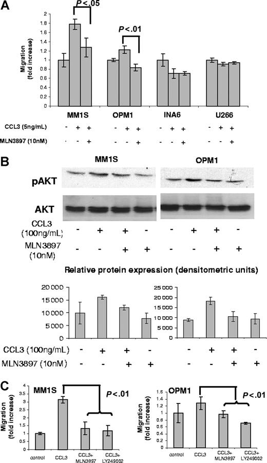 Figure 4. MLN3897 abrogates CCL3-induced migration by inhibiting Akt phosphorylation. Effects of MLN3897 on cell migration in the presence of CCL3 (5 ng/mL) were assessed by Transwell migration assay. MM cells were preincubated with MLN3897 (10 nM for 4 hours) (A) or PI3K inhibitor LY94002 (25 μM for 1 hour) (C), and then seeded on the upper chamber of the Transwell plate. After 4 hours, cells that migrated to the lower chamber were counted, and results were expressed as fold increase over control plus or minus standard deviation. (B) CCL3 (100 ng/mL for 30 minutes) stimulated Akt phosphorylation in serum-starved (overnight in 1% and 30 minutes in 0% RPMI media) MM cells, assessed by Western blot analysis. In selected experiments, cells were preincubated with MLN3897 for 4 hours. The densitometric analysis of the immunoblots displays partial inhibition of Akt phosphorylation by MLN3897 in MM.1S and complete inhibition in OPM1 cells. Results are expressed as mean (± SD).