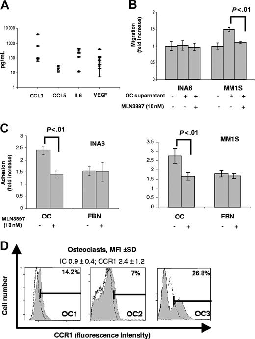 Figure 5. MLN3897 inhibits MM cell migration and adhesion to OCs. (A) CCL3, CCL5, IL-6, and VEGF secretion was assessed by ELISA in OC supernatants at 48 hours; means (± SD) of 3 independent experiments are expressed as pg/mL on a logarithmic scale. (B) Effects of MLN3897 on cell migration triggered by 48-hour OC supernatants, assessed by Transwell migration assay. INA6 and MM1.S cell lines were preincubated with MLN3897 (10 nM for 4 hours) and seeded in the upper chamber of the Transwell plate. After 4 hours, cells that migrated to the lower chamber were counted. Results are expressed as fold increase over control. (C) Adhesion assay was performed seeding calcein-labeled INA6 and MM1.S cells on OCs (10 000 cells/well) or fibronectin (FBN; 20 μg/mL) in the presence or absence of MLN3897. After 6 hours, nonadherent cells were washed off, and fluorescence intensity of adherent cells were expressed as fold increase over control. (D) Representative CCR1 expression on mature OCs from 3 different donors, analyzed by flow cytometry. Results are expressed as MFI (± SD) of CCR1 and isotype control (IC) from more than 3 independent experiments.