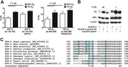Figure 6. The oxygen-dependent stability of ATF-4 is proline dependent. (A) HeLa cells were transiently transfected with a constitutively expressed renilla luciferase (RL) control vector, an expression plasmid containing the Gal4 AD/BD (pM3VP16) fused to ATF-4 aa 133–183; ATF-4 aa 133-183, in which prolines P156, P162, P164, P167, and P174 have been mutated to alanine; HIF-2α aa 404-568; or HIF-2α aa 404–568 P405/531A together with the Gal4-driven firefly luciferase (FL) plasmid pGRExE1bLuc. After transfection cells, were exposed to 20% or 1% O2 for 24 hours, lysed, and analyzed for FL and RL activities. Shown are mean values plus or minus SD of the FL/RL ratios of 3 independent experiments. (B) HeLa cells were transiently transfected with V5–ATF-4, V5–ATF-4Δ aa 154-81, or V5–ATF-4 5 × P > A, in which prolines P156, P162, P164, P167, and P174 have been mutated to alanine. To control for equal transfection efficiencies cells were cotransfected with pEGFPC1. At 6 hours after transfection, cells were exposed to 20% or 1% O2 for 24 hours. Subsequently, the cells were lysed and analyzed by immunoblotting. (C) Multiple sequence alignment of the proposed ATF-4 ODD domain.