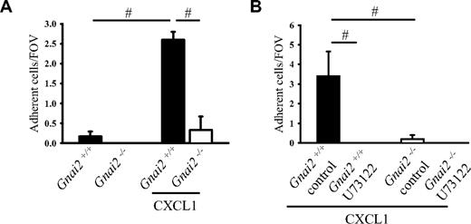 Figure 1. Gαi2 and PLC in neutrophils are required for neutrophil chemokine-induced arrest on P-selectin/ICAM-1. (A) Carotid cannulas were placed in Gnai2−/− mice (□) and Gnai2+/+ mice (■) and connected to autoperfused flow chambers coated with P-selectin and ICAM-1 alone or in combination with CXCL1 (10 μg/mL). The wall shear stress in all flow chamber experiments was 5.94 dyn/cm2. There were at least 3 mice and 4 flow chambers per group. To account for the 2.5-fold increase of neutrophils in Gnai2-deficient mice compared with littermate controls (Table 1, the number of adherent neutrophils was normalized to systemic neutrophil counts. Number of normalized adherent cells per field of view is presented as means plus or minus SEM. (B) Number of adherent neutrophils on P-selectin and ICAM-1 in combination with CXCL1 of U73122-pretreated whole blood after 6 minutes. Data presented as means plus or minus SEM from 3 mice. #P < .05.