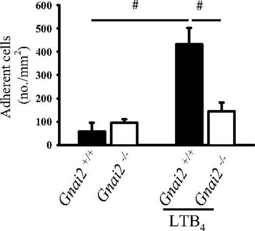 Figure 3. Gnai2-deficient mice cannot induce leukocyte arrest in postcapillary venules of the cremaster muscle in response to LTB4. Number of adherent leukocytes in cremaster muscle postcapillary venules of Gnai2−/− mice and Gnai2+/+ mice after intravenous injection of 5 μg LTB4. Data were recorded and analyzed for 1 minute starting 15 seconds after CXCL1 injection. Data presented as means plus or minus SEM from 4 mice. #P < .05.