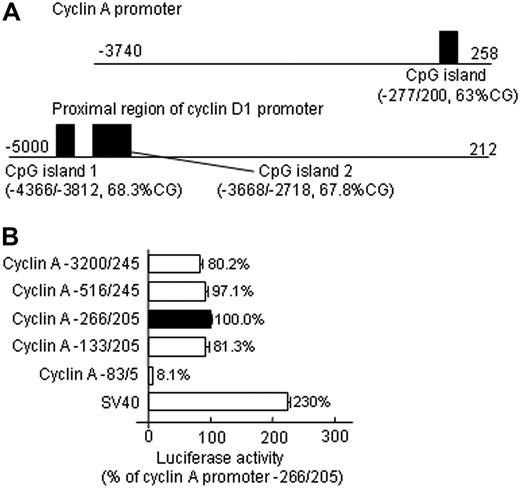 Figure 2. Promoter analysis. (A) CpG island search. One CpG island is identified in the core promoter region of the cyclin Agene, and 2 in the far 5′-flank region of cyclin D1 gene by computational analysis. (B) Cyclin A promoter activity. Plasmids containing various lengths of the 5′-flanking region of the cyclin A gene were constructed with the luciferase (Luc) gene in PGL2 vector. HUVECs were transiently transfected with 2 μg plasmid DNA by Lipofectin transfection, and harvested 48 hours after transfection. For each construct, 0.5 μg plasmid pCMV-βGAL was cotransfected to correct for differences in the transfection efficiency. The corrected luciferase activity was then divided by that of the cyclin A −266/+205 plasmid and is presented as relative luciferase activity. Values represent mean (± SD) from 3 separate experiments with triplicates (n = 9).