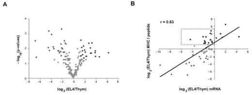 Figure 1. Relative Quantification of Differentially Expressed MHC I peptides and Source mRNAs from Thymocytes and EL4 Cells
(A) Volcano Plot representation illustrate MHC I peptides reproducibly detected across biological replicates (n = 3). Peptides over- and underexpressed on EL4 cells relative to thymocytes (p-values≤0.05; fold change ≥ 2.5) were highlighted in blue and red, respectively. MS-MS spectra of circled peptides are shown in B and C.
B) Scatter plot shows the correlation between relative expression of mRNA and that of MHC I peptide. Expression ratios for source mRNA (x axis) and MHC I peptide (y axis) between EL4 cells and thymocytes were plotted on a log 2 scale for 47 pairs. A Spearman correlation coefficient was calculated from the linear regression. MHC I peptides overexpressed in EL4 cells or normal thymocytes are highlighted in blue and red, respectively; peptides that were not differentially expressed are in grey. Dashed box includes peptides whose overexpression on EL4 cells did not correlated with increased mRNA levels of their source protein.
