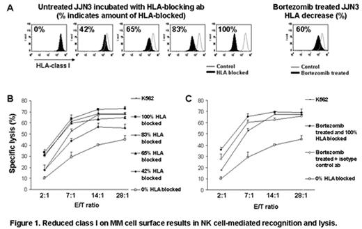 Figure 1. Reduced class I on MM cell surface results in NK cell-mediated recognition and lysis
