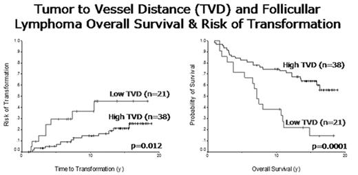 Tumor to Vessel Distance (TVD) and Follicular Lymphoma Overall Survival & Risk of Transformation