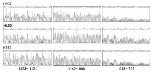 Figure 1. Methylation pattern of upstream CEBPA promoter region was shown in U937, HL60 and K562 cells *T-C Lin and C-Y Lee contributed equally to this communication.