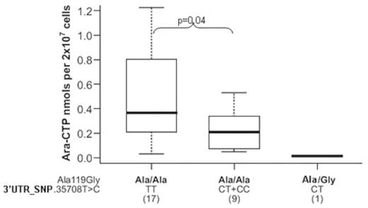 Influence of DCK SNPs on leukemic blast ara-CTP levels in AML patients receiving ara C-as continuous infusion