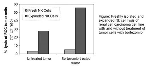 Figure:. Freshly isolated and expanded Nk cell lysis of renal cell carcinoma cell line with and without treatment of tumor cells with bortezomib