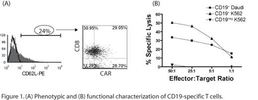 Figure 1. (A) Phenotypic and (B) funtional characterization of CD 19-specific T cells.