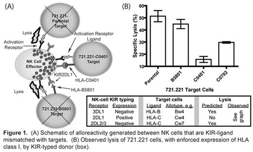 Figure 1. (A) Schematic of alloreactivity generated between NK cells that are KIR-ligand mismatched with targets. (B) Observed lysis of 721.221 cells, with enforced expression of HLA class I, by KIR-typed donar(box).