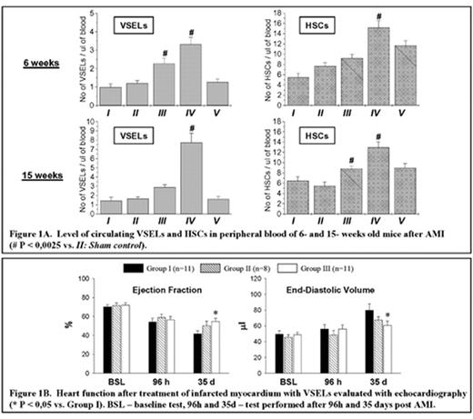 Figure 1. A. Levels of circulating VSELs and HSCs in peripheral blood of 6- and 15- weeks old mice after AMI (# P <0,0025 vs. II: Sham control). . / Figure 1B. Heart function after treatment of infarcted mycocardium with VSELs evaluated with echocardiography (*P < 0,05 vs. Group 1). BSL - baseline test, 96h and 35d – test performed after 96h and 35 days post AML.