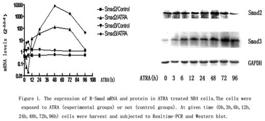 Figure 1. The expression of R-Smad mRNA and protein in ATRA treated NB4 cells. The cells were exposed to ATRA (experimental groups) or not (control groups). At given time (0h, 3h, 6h, 12h, 24h, 48h, 72h, 96h) cells were harvest and subjected to Realtime-PCR and western blot
