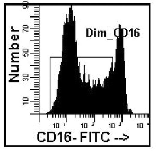 Figure 1,. CD16 of marrow myeloid cells.