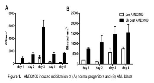 Figure 1. AMD3100 induced mobilization of (A) normal progenitors and (B) AML blasts