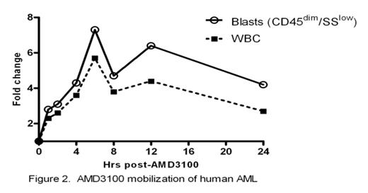 Figure 2. AMD3100 mobilization of human AML