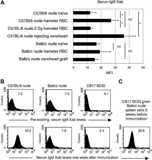 Figure 1. IgM xenoantibody response in C57BL/6 nude, BALB/c nude, and CB17SCID mice given BALB/c nude splenocytes. (A) Naive nude animals were either immunized with hamster RBCs (C57BL/6, n = 7; BALB/c, n = 3) or given a hamster xenoheart (C57BL/6, n = 7; BALB/c, n = 6). Serum hamster-specific IgM xenoantibodies were assayed either on day 7 (hamster RBC), or between days 2 and 6 (C57BL/6, at the time of xenograft rejection), or between days 3 and 12 (BALB/c, no rejection of xenografts). One C57BL/6 nude group was given 2 Gy TBI 1 week before hamster RBC immunization (n = 6). Naive BALB/c nude (n = 12) and C57BL/6 nude (n = 9) animals were used as controls. Bars represent the mean (± SE) MFI values. *P < .05; NS indicates not significant for comparison between groups. (B) Histograms illustrating IgM xenoantibody serum levels of naive (top panels) or hamster RBC–immunized (bottom panels) nude C57BL/6, nude BALB/c, or CB17 SCID mice (MFI is indicated in the top right corner). (C) Histogram illustrating IgM xenoantibody serum levels of CB17 SCID mice after transfer of 120 × 106 BALB/c nude splenocytes on day −14. Serum IgM xenoantibodies were determined on day 7 relative to hamster RBC immunization (1 of 2 identical experiments is shown).