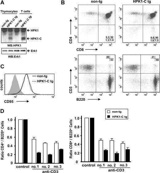 Figure 1. HPK1-C sensitizes toward activated T-cell death in vivo. (A) Thymocytes and naive T cells from non-tg and HPK1-C tg mice were analyzed for expression of HPK1 and HPK1-C by Western blotting (WB). (B) CD4 and CD8 (top panels) or CD3 and B220 (bottom panels) surface expression of thymocytes (top panels) or spleenocytes (bottom panels) from non-tg or HPK1-C tg mice was analyzed by flow cytometry. The percentage of cells in the respective quadrants is indicated. (C) Activated T cells of HPK1-C tg mice or non-tg littermates were analyzed by flow cytometry for CD95 surface expression. The filled histogram shows the isotype control. (D) HPK1-C tg mice or non-tg littermates were analyzed for AICD in vivo by intravenous injection of 10 μg of anti-CD3 antibodies or isotype control antibodies (control). After 24 hours, splenocytes were stained with anti-TCRβ, anti-B220, anti-CD4, or anti-CD8 antibodies and analyzed by flow cytometry. Depicted bars correspond to individual mice of 3 independent experiments (nos. 1, 2, and 3) with standard deviations given for triplicate measurements.