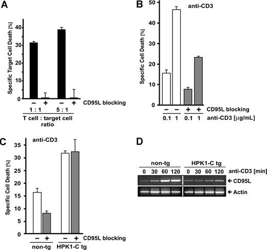 Figure 3. HPK1-C initiates AICD independent of CD95L. (A) To control for the capacity of the CD95L-blocking antibody MFL3 to efficiently inhibit CD95L-dependent cell death, primary mouse T cells at day 5 after stimulation were activated with 0.1 μg/mL of plate-bound anti-CD3 antibodies and cocultured with CD3-deficient, but CD95L-sensitive, CFSE-labeled target cells at the given ratios in the absence or presence of 10 μg/mL of the CD95L-blocking antibody MFL3. (B) Primary mouse T cells were analyzed at day 5 after stimulation for activation-induced cell death (AICD) after incubation with 0.1 or 1 μg/mL of plate-bound anti-CD3 antibodies for 18 hours in the absence (□) or the presence (▩) of 10 μg/mL of the CD95L-blocking antibody MFL3. Standard deviation is given for triplicate measurements. The experiment presented is representative of 5 repeats. (C) Primary mouse T cells of HPK1-C transgenic (tg) mice or non-transgenic (non-tg) littermates were analyzed at day 5 after stimulation with Con A and expansion with IL-2 for AICD by incubation with 0.1 μg/mL of plate-bound anti-CD3 antibodies for 18 hours in the presence (▩) or the absence (□) of 10 μg/mL of the CD95L-blocking antibody MFL3. Standard deviation is given for triplicate measurements. The experiment was repeated 5 times with similar outcome. (D) Primary mouse T cells of HPK1-C tg mice or non-tg littermates were stimulated by anti-CD3 antibodies for the indicated time points or left nonstimulated. RNA was extracted and subjected to reverse transcriptase–polymerase chain reaction (RT-PCR) analysis using primers specific for CD95L. Expression of actin is shown as a control.