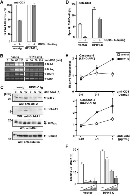Figure 4. HPK1-C sensitizes for activated T-cell death via the mitochondrial pathway. (A) Primary mouse T cells of HPK1-C transgenic (tg) mice or non-transgenic (non-tg) littermates were analyzed at day 5 after activation with Con A and expansion with IL-2 for loss of mitochondrial membrane potential (ΔψM) by JC-1 staining after incubation with 1 μg/mL plate-bound anti-CD3 antibodies for 18 hours in the presence of 10 μg/mL CD95L-blocking antibody MFL3. All values represent mean and standard deviation of triplicate measurements and are expressed relative to the loss of ΔψM without CD95L-blocking antibody set to 100%. (B) Primary mouse T cells of HPK1-C tg mice or non-tg littermates were stimulated by anti-CD3 antibodies for the indicated time or left nonstimulated. RNA was extracted and subjected to RT-PCR analysis using primers specific for the indicated NF-κB target genes Bcl-2, Bcl-xL, and cIAP1. Expression of actin is shown as control. (C) The experiment was carried out essentially as in panel B and cell lysates were resolved by SDS-PAGE. Expression of Bcl-2, Bcl2-A1, and BimEL/L was visualized by Western blotting (WB). Tubulin is shown as a control. (D) Jurkat T cells with stable integration of either empty vectors or HPK1-C expression vectors, respectively,14 were subjected to cell death induction by incubation with 1 μg/mL plate-bound anti-CD3 antibodies for 24 hours in the absence (□) or the presence (▩) of 10 μg/mL of the CD95L-blocking antibody NOK1. The experiment presented is representative of 4 repeats. Standard deviation is given for triplicate measurements. (E) T cells with stable integration of either empty vectors or HPK1-C expression vectors were stimulated with increasing amounts of plate-bound anti-CD3 antibodies for 8 hours. Subsequently, cells were lysed and caspase 9 (top panel) and caspase 3 (bottom panel) activities were analyzed by a fluorometric substrate cleavage assay. Standard deviation is given for triplicate measurements. (F) Jurkat T cells with stable integration of either empty vectors or HPK1-C expression vectors were incubated with increasing amounts of the caspase-9–specific inhibitor z-LEHD-fmk (20 μM, 40 μM, 80 μM) and subjected to TCR-induced cell death by incubation with 1 μg/mL plate-bound anti-CD3 antibodies for 24 hours. Cell death was quantified by flow cytometry using FSC/SSC.