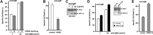 Figure 5. HPK1-C increases AICD of B cells by the intrinsic cell death pathway. (A) Mouse splenic B cells were analyzed for AICD by incubation with 1 or 10 μg/mL of plate-bound anti-IgM antibodies for 18 hours in the presence (▩) or the absence (□) of 10 μg/mL of the CD95L-blocking antibody MFL3. Standard deviation is given for triplicate measurements. (B) Splenic B cells were analyzed for AICD by incubation with 1 μg/mL of plate-bound anti-IgM antibodies in presence or absence of the caspase-9–specific inhibitor z-LEHD-fmk (40 μM) for 18 hours. Standard deviation is given for triplicate measurements. (C) WEHI-231 B cells were activated by BCR cross linking using 5 or 10 μg/mL of plate-bound anti-IgM antibodies. Cells were lysed and presence of HPK1 and processing toward HPK1-C were analyzed by Western blotting. (D) Splenic B cells of HPK1-C transgenic (tg) mice or non-transgenic (non-tg) littermates were analyzed for AICD by incubation with 1 or 10 μg/mL of plate-bound anti-IgM antibodies for 18 hours. Standard deviation is given for triplicate measurements. The inset shows expression levels of HPK1 and HPK1-C as detected by Western blotting. (E) A GFP:HPK1-C fusion protein19 (HPK1-C) or GFP alone (vector) was expressed in WEHI 231 B cells by transient transfection and GFP-positive cells were analyzed for cell death upon incubation with 10 μg/mL of anti-IgM antibodies for 12 hours. Standard deviation is given for triplicate measurements.