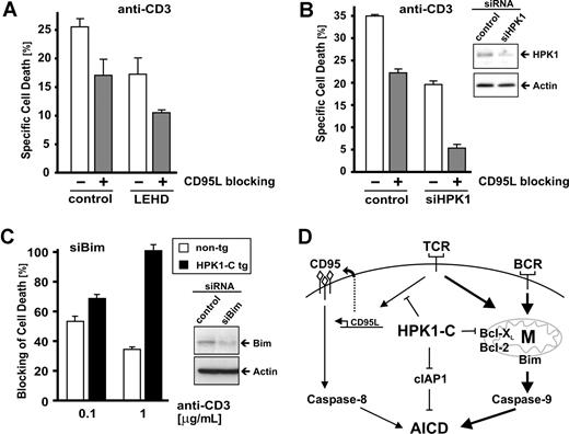 Figure 6. CD95L-dependent and HPK1-C–mediated, CD95L-independent mechanisms synergize in AICD of primary human T cells. (A) Primary human T cells were analyzed for AICD at day 6 after stimulation with PHA and expansion with IL-2. Cells were incubated with 1 μg/mL of plate-bound anti-CD3 antibodies for 18 hours with or without caspase-9–specific inhibitor z-LEHD-fmk (20 μM) in the presence (▩) or the absence (□) of 10 μg/mL of the CD95L-blocking antibody NOK-1. (B) The experiment was carried out similar to panel A, but primary human T cells were transfected 48 hours before with siRNA oligonucleotides comprising a HPK1-specific (siHPK1) or nonspecific sequence (control). The experiments presented are representative of 3 repeats. The siRNA-mediated down regulation of HPK1 was compared with actin by Western blotting (inset). (C) T cells from non-tg or HPK1-C tg littermates were activated with Con A and expanded in the presence of IL-2. At day 3 after activation, cells were transfected with siRNA oligonucleotides comprising a Bim (siBim) or a nonspecific sequence (control). Forty-eight hours following transfection, T cells were subjected to TCR-induced AICD by incubation with 0.1μg/mL anti-CD3 antibodies. The experiments presented are representative of 3 repeats. The siRNA-mediated down-regulation of HPK1 was compared with actin by Western blotting (inset). Standard deviation is given for triplicate measurements. (D) Model for the role of HPK1-C in the regulation of activation-induced cell death (AICD). HPK1-C suppresses the induction of antiapoptotic NF-κB target genes Bcl-2, Bcl-xL, and cIAP1. Stimulation of the T-cell receptor (TCR) in preactivated T cells leads to activation of CD95 by newly synthesized CD95L involving caspase-8. In parallel, TCR stimulation leads to CD95-independent activation of the mitochondrial death pathway and caspase-9, which is augmented by HPK1-C. Stimulation of the B-cell receptor (BCR) leads to AICD primarily via the mitochondrial pathway, which is also augmented by the presence of HPK1-C.