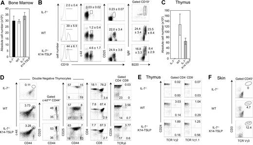 Figure 1. TSLP Tg expression rescues B- and T-cell development in IL-7−/− mice. IL-7−/−, WT, and IL-7−/− K14-TSLP Tg mice were analyzed at 12 weeks of age. (A) Absolute cell number per 2 femurs. (B) Regions indicate the pro-B/pre-B-I (CD19+ c-kit+), pre-BII (CD19+ CD25+), mature (CD19+ B220high IgM+), and immature (CD19+ B220+ IgM+) B cells in the BM. Numbers are mean and standard deviation of percentage (n = 5). (C) Absolute thymocyte number and (D) thymocyte profiles of DN1 (c-kithigh CD44+ CD25−), DN2 (c-kithigh CD44+ CD25+), DN3 (CD44− CD25+), DN4 (CD44− CD25−), DP (CD4+ CD8+), and SP (CD4+ CD8−, CD4−CD8+) thymocytes as well as of immature (CD24lo/− γδ+) and mature (CD24+ γδ+) γδ T cells are shown. (E) Pregated on CD4− CD8− cells, percentages of Vγ2 and Vγ1.1 T cells in the thymus are shown. (F) Pregated on CD45+ cells, percentages of Vγ3+ CD3+ cells in the skin are shown. Histograms represent the mean and standard deviation from analyzing 5 animals.